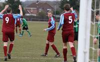 Hempnall goal celebrated