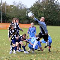 Taverham keeper called into further action