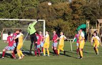 Hempnall v Waveney Res 11 11 2023 20