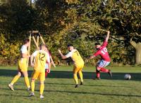 Hempnall v Waveney Res 11 11 2023 30