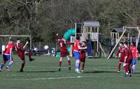 Hempnall v Shrublands 28 3 26 43