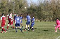 Hempnall v C Colville 1 3 2025 8