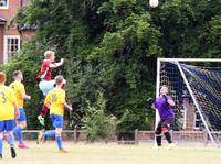 Hempnall v Ellingham 10