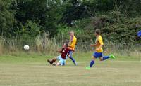 Hempnall v Ellingham 12