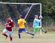 Hempnall v Ellingham 19