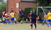 Hempnall v Ellingham 20