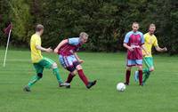 hempnall v erpingham 3 Oct 2020  14