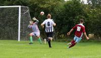 Hempnall v Swaffham Res 13