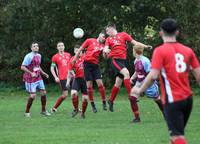 Hempnall v L Stratton Res 31 10 2020 16