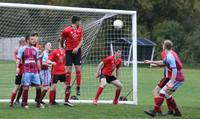 Hempnall v L Stratton Res 31 10 2020 19