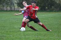 Hempnall v L Stratton Res 31 10 2020 48