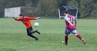 Hempnall v L Stratton Res 31 10 2020 50