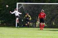 Hempnall v Redwood 16th Sept 2016 10