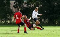 Hempnall v Redwood 16th Sept 2016 12