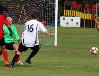 Hempnall v Redwood 16th Sept 2016 14