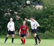 Hempnall v Redwood 16th Sept 2016 16