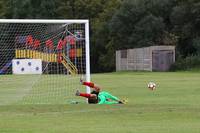 Hempnall v Redwood 16th Sept 2016 21