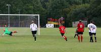 Hempnall v Redwood 16th Sept 2016 30