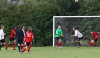 Hempnall v Redwood 16th Sept 2016 35