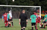 Res v E Harling Res 8th oct 2016 13