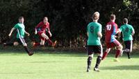 Res v E Harling Res 8th oct 2016 20