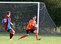 Res v E Harling Res 8th oct 2016 24