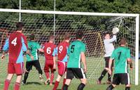 Res v E Harling Res 8th oct 2016 26