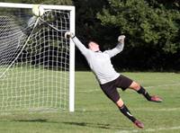 Res v E Harling Res 8th oct 2016 29