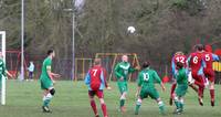 Reserves v E Harling Res 23rd Jan 2016 13