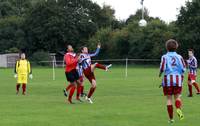 Hempnall v Mundford 5