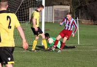 Hempnall v Hellesdon 30th Jan 2016 11