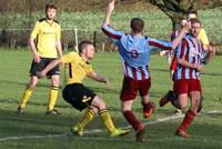 Hempnall v Hellesdon 30th Jan 2016 19