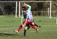 Hempnall v Hellesdon 30th Jan 2016 20