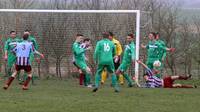 Hempnall v Holt 12th Mar 2016 36