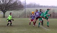 Hempnall v Holt 31 1 2015 5