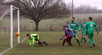 Hempnall v Holt 31 1 2015 6