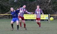 Hempnall v Mulbarton 21 2 2015 13