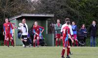 Res v Harleston Res 30th Apr 2016 19