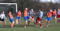 Hempnall v Aylsham 8th Feb 2014 12