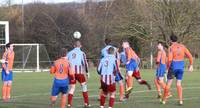 Hempnall v Aylsham 8th Feb 2014 22