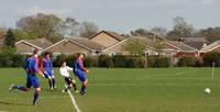 Hempnall v Poringland Sat Apr 5th 2014 4