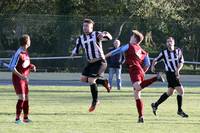 Hempnall v Harleston 15th April 2014 3