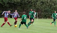 Hempnall v Horsford Aug 16th 2014 16